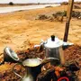 يا اهل الصقور هل الصقور تصاب بانفلونزا الطيور