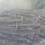 للبيع سعف نخيل