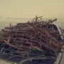 أهل الحلال البدو ضروري الدخول