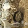 7ضان من430