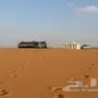 خيمة صباحية الربيع 5 5