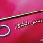 حدد جنس طيورك بكل سهولة 
