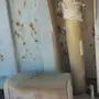 خميس مشيط