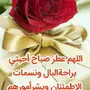 اللي ضايع منه اكسسوار بحديقة الملك فهد 