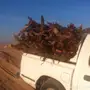 حطب ارطاء للبيع