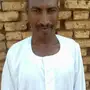 راعي غنم ابل سوداني