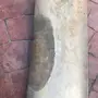 دبه جمس مفرغه كامل نظيفه بدون تنسيم 