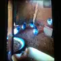 حمام تيدي