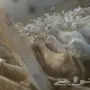 ضان مناتيج 