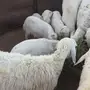 حريات 