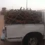 حطب ارطاء