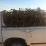 حطب - حطب ارطاء 