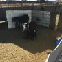 الطايف العرفاء