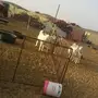 جفار هوانديات للبيع