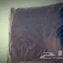 جده - فرد شعر مضمون ومجرب 