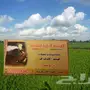 ابومحمدللتصوير 